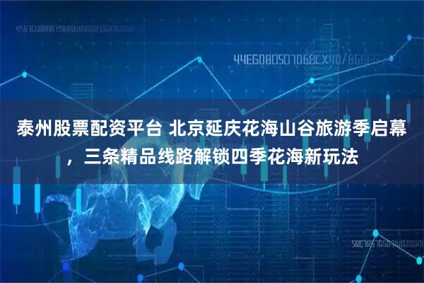 泰州股票配资平台 北京延庆花海山谷旅游季启幕，三条精品线路解锁四季花海新玩法