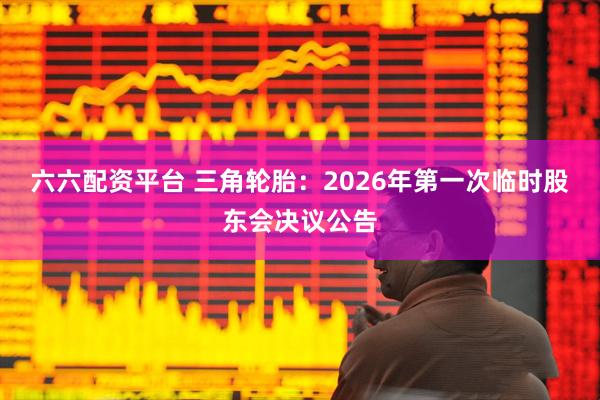 六六配资平台 三角轮胎：2026年第一次临时股东会决议公告